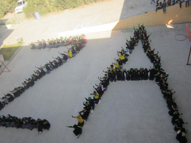 alt